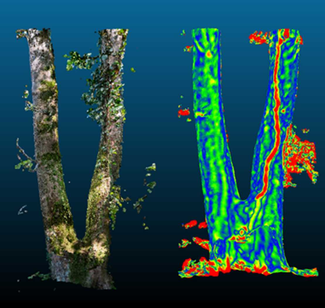 Enlarged view: Image of Microhabitats Identification using CloudCompare. 