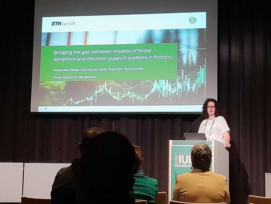 Dr. Olalla Diaz Yanez giving a presentation
